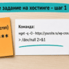 Стикер с расписанием cron и командой wget на wp-cron.php